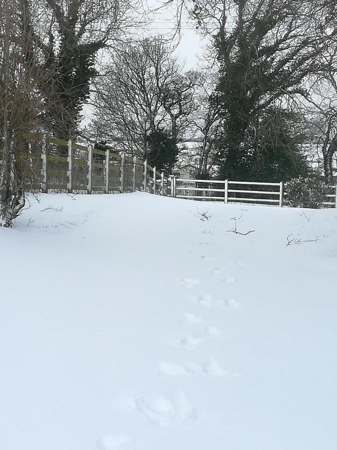 Bed and Breakfast Lucker Mill House Esterno foto